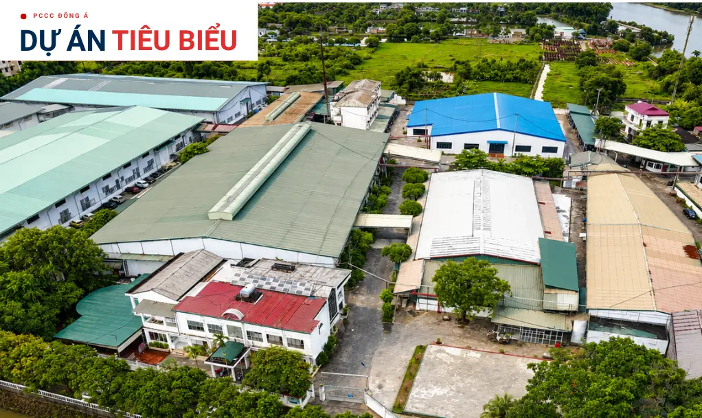 Công ty Cổ phần Nhôm Thịnh Thịnh Phát